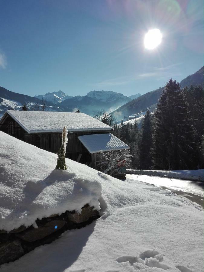 Apart Gerlossteinblick Aschau Im Zillertal Exterior photo