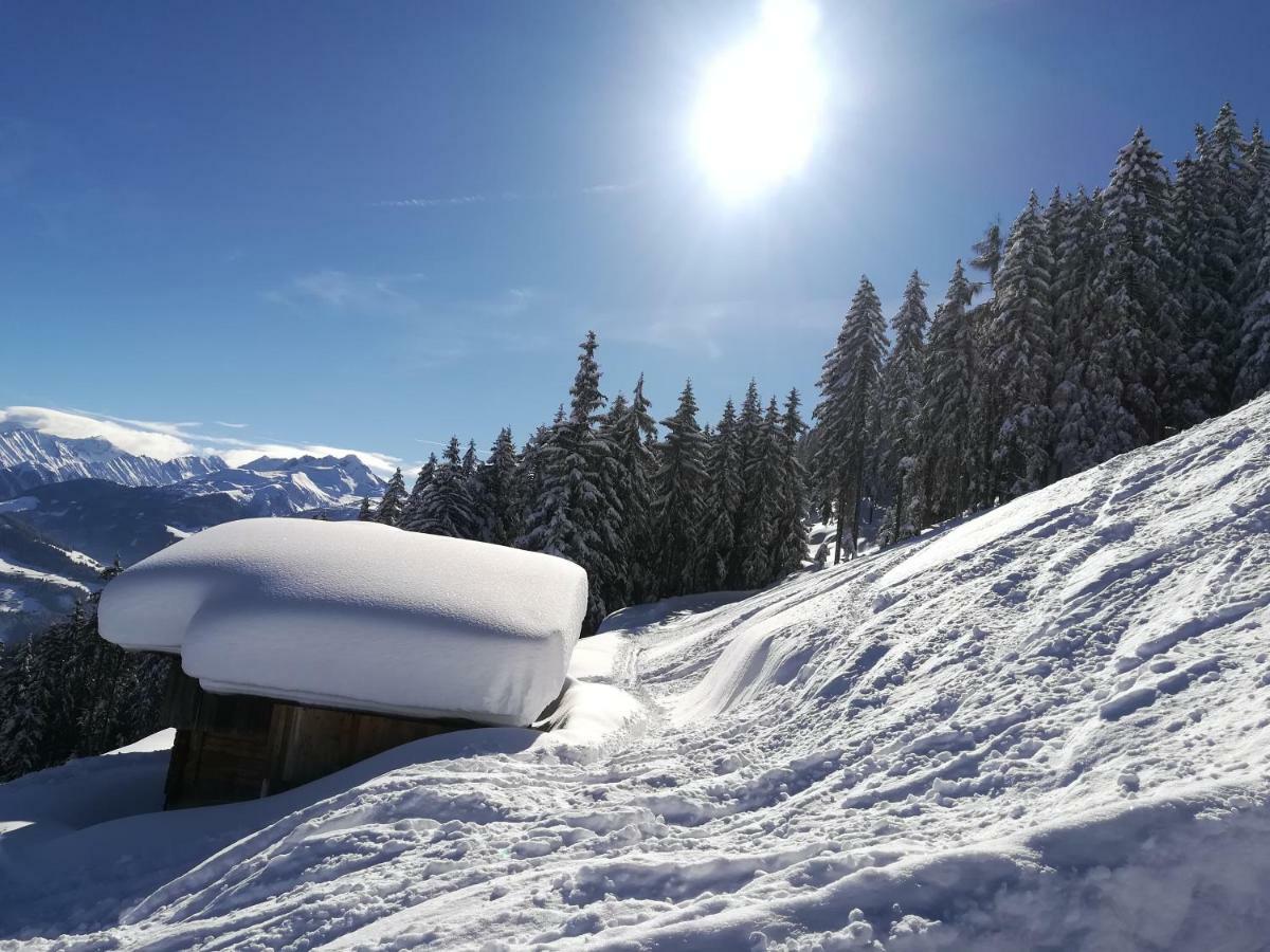 Apart Gerlossteinblick Aschau Im Zillertal Exterior photo